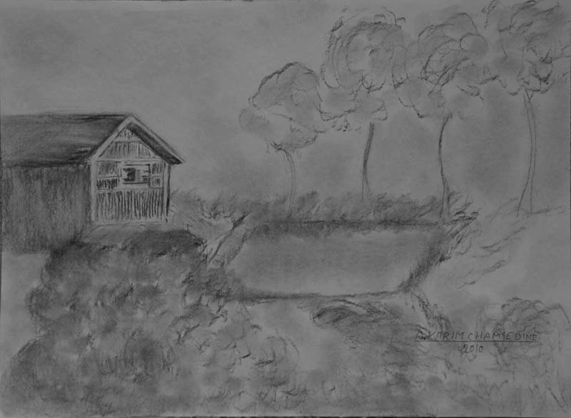 رسم